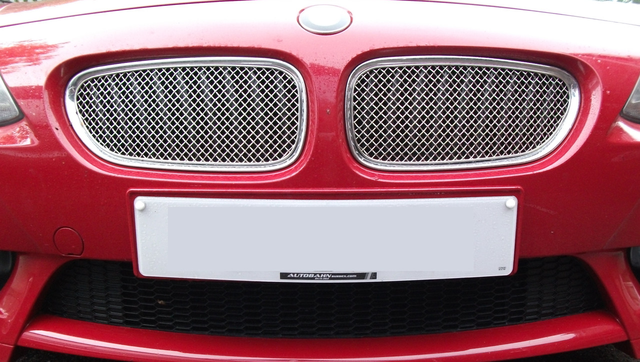 BMW Z4 Upper Grille Set